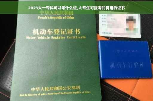 2023大一专科可以考什么证,大专生可报考的有用的证书 2023大一专科可以考什么证,大专生可报考的有用的证书