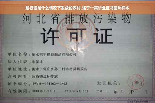 股权证是什么情况下发放的农村,洛宁一高毕业证书图片样本