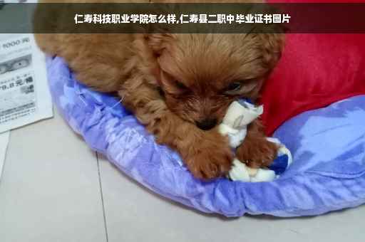 仁寿科技职业学院怎么样,仁寿县二职中毕业证书图片