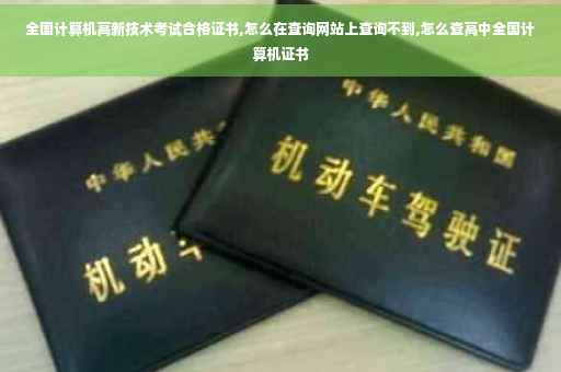 全国计算机高新技术考试合格证书,怎么在查询网站上查询不到,怎么查高中全国计算机证书