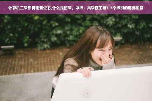 计算机二级都有哪些证书,什么是初级，中级，高级技工证？3个级别的都要回答