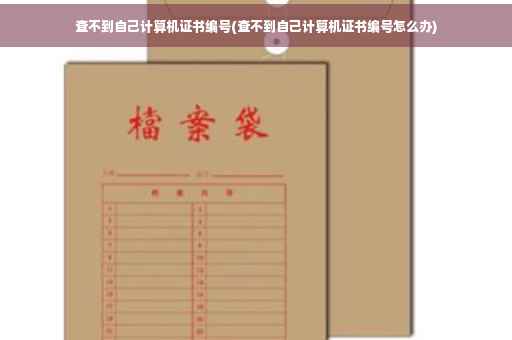 查不到自己计算机证书编号(查不到自己计算机证书编号怎么办)