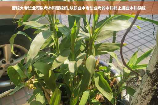 警校大专毕业可以考本科警校吗,从职业中专毕业考的本科能上哪些本科院校