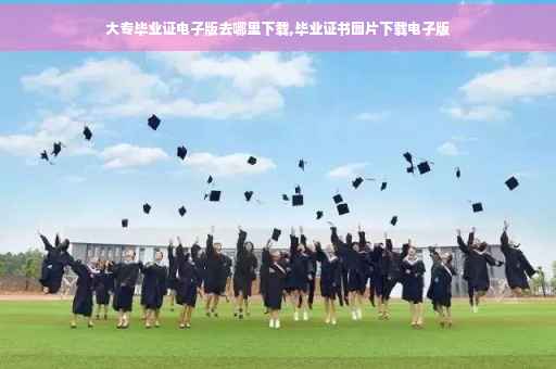 大专毕业证电子版去哪里下载,毕业证书图片下载电子版