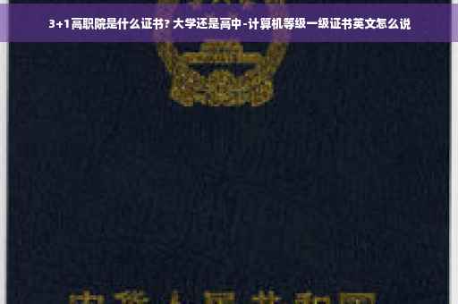 3+1高职院是什么证书? 大学还是高中-计算机等级一级证书英文怎么说