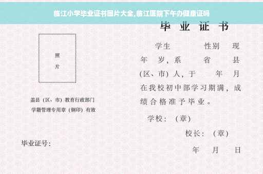 临江小学毕业证书图片大全,临江医院下午办健康证吗
