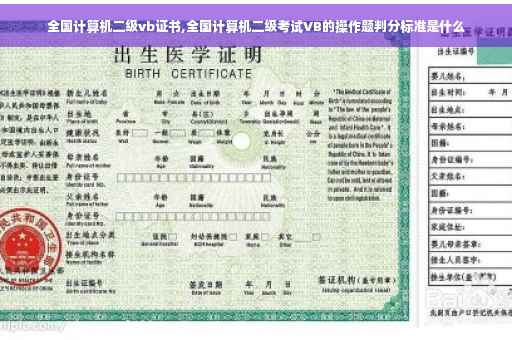 全国计算机二级vb证书,全国计算机二级考试VB的操作题判分标准是什么