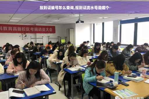 报到证编号怎么查询,报到证流水号是哪个