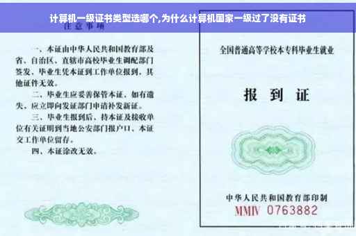 计算机一级证书类型选哪个,为什么计算机国家一级过了没有证书