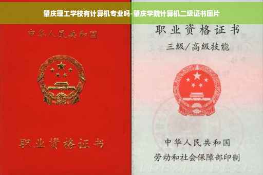 肇庆理工学校有计算机专业吗-肇庆学院计算机二级证书图片