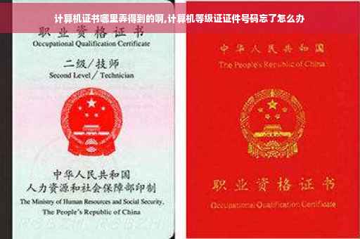 计算机证书哪里弄得到的啊,计算机等级证证件号码忘了怎么办