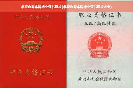 北京自考本科毕业证书图片(北京自考本科毕业证书图片大全)