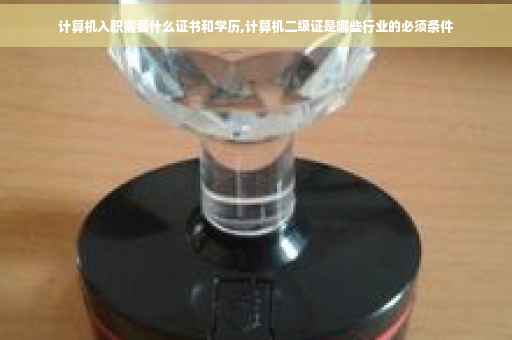 计算机入职需要什么证书和学历,计算机二级证是哪些行业的必须条件 计算机入职需要什么证书和学历,计算机二级证是哪些行业的必须条件