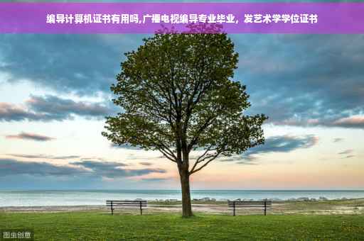 编导计算机证书有用吗,广播电视编导专业毕业，发艺术学学位证书