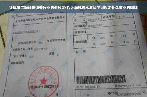 计算机二级证是哪些行业的必须条件,计算机技术与科学可以走什么专业的职称