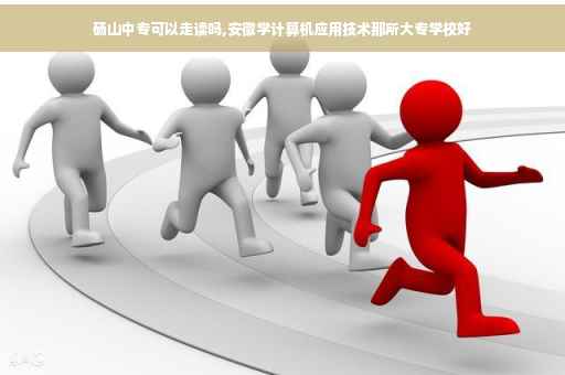 砀山中专可以走读吗,安徽学计算机应用技术那所大专学校好