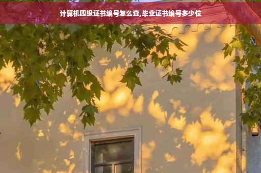 计算机四级证书编号怎么查,毕业证书编号多少位