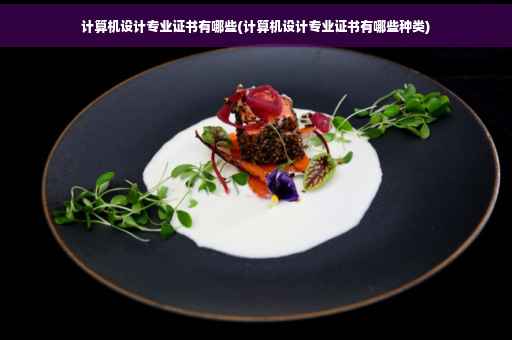 计算机设计专业证书有哪些(计算机设计专业证书有哪些种类)