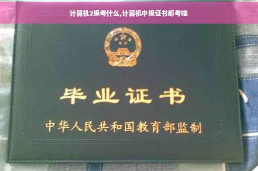计算机2级考什么,计算机中级证书都考啥