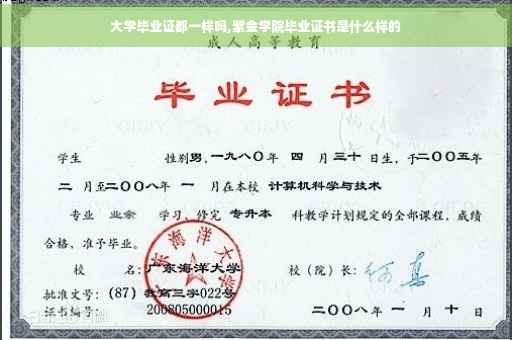 大学毕业证都一样吗,紫金学院毕业证书是什么样的