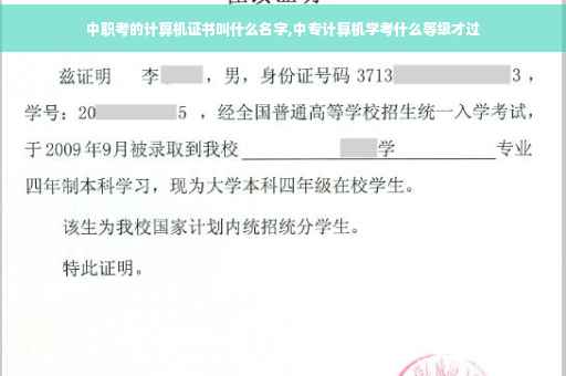 中职考的计算机证书叫什么名字,中专计算机学考什么等级才过 中职考的计算机证书叫什么名字,中专计算机学考什么等级才过