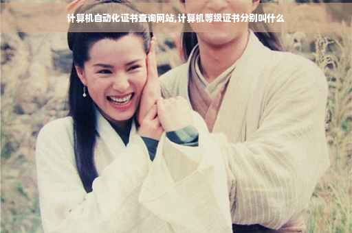 计算机自动化证书查询网站,计算机等级证书分别叫什么