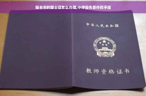 陆丰市的国土证怎么办理,小学报名条件和手续