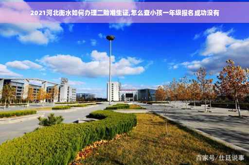 2021河北衡水如何办理二胎准生证,怎么查小孩一年级报名成功没有