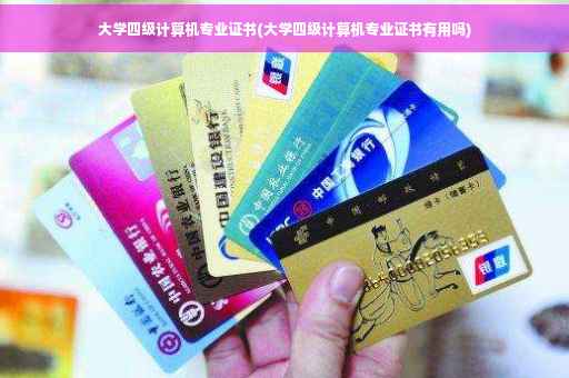 大学四级计算机专业证书(大学四级计算机专业证书有用吗)