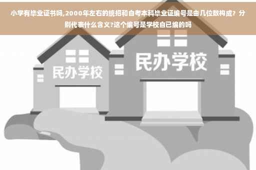 小学有毕业证书吗,2000年左右的统招和自考本科毕业证编号是由几位数构成？分别代表什么含义?这个编号是学校自已编的吗