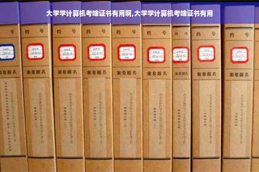 大学学计算机考啥证书有用啊,大学学计算机考啥证书有用
