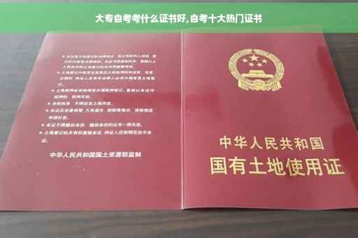 大专自考考什么证书好,自考十大热门证书