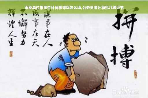 事业单位报考中计算机等级怎么填,公务员考计算机几级证书