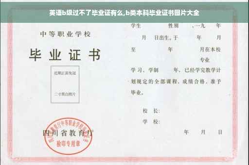 英语b级过不了毕业证有么,b类本科毕业证书图片大全