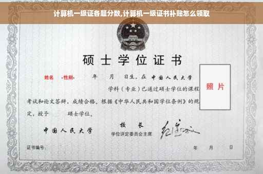 计算机一级证各题分数,计算机一级证书补贴怎么领取