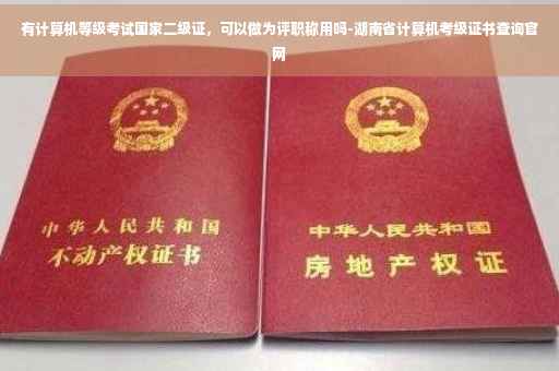 有计算机等级考试国家二级证,可以做为评职称用吗-湖南省计算机考级证书查询官网 有计算机等级考试国家二级证,可以做为评职称用吗-湖南省计算机考级证书查询官网