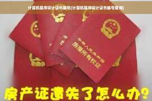 计算机程序设计证书编号(计算机程序设计证书编号查询)