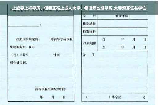 上级要上报学历，但我正在上成人大学，我该怎么填学历,大专填写证书学位
