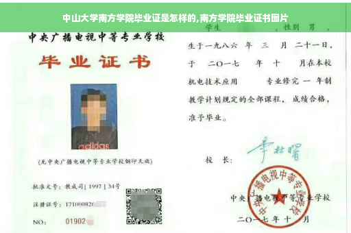 中山大学南方学院毕业证是怎样的,南方学院毕业证书图片