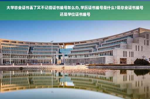 大学毕业证书丢了又不记得证书编号怎么办,学历证书编号是什么?是毕业证书编号还是学位证书编号
