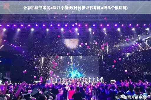 计算机证书考试a级几个模块(计算机证书考试a级几个模块啊)