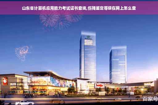 山东省计算机应用能力考试证书查询,伤残鉴定等级在网上怎么查