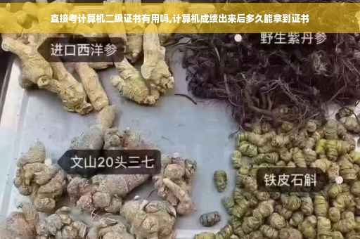 直接考计算机二级证书有用吗,计算机成绩出来后多久能拿到证书