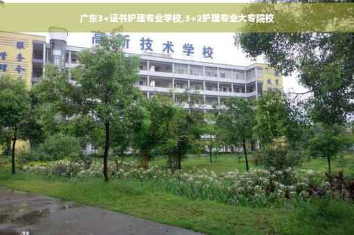 广东3+证书护理专业学校,3+2护理专业大专院校