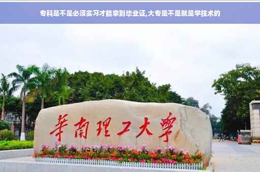 专科是不是必须实习才能拿到毕业证,大专是不是就是学技术的