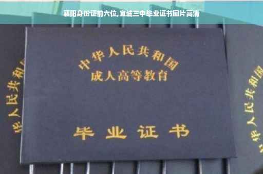 襄阳身份证前六位,宜城三中毕业证书图片高清
