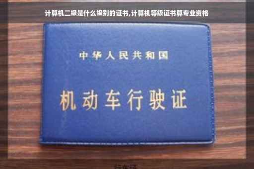 计算机二级是什么级别的证书,计算机等级证书算专业资格