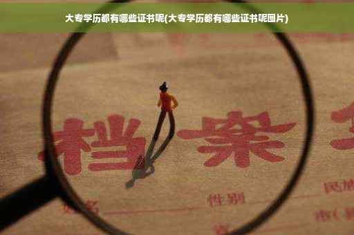 大专学历都有哪些证书呢(大专学历都有哪些证书呢图片)