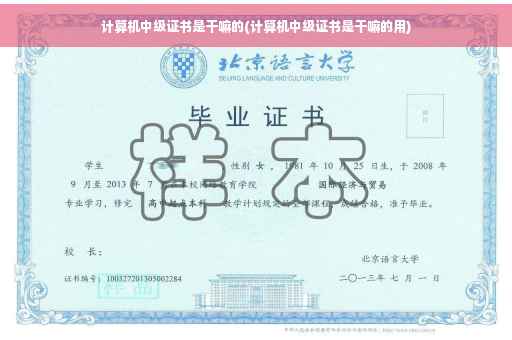 计算机中级证书是干嘛的(计算机中级证书是干嘛的用)