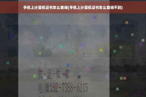 手机上计算机证书怎么查询(手机上计算机证书怎么查询不到)